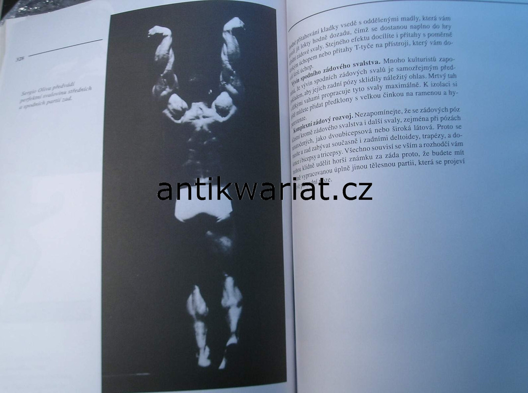 1wa Image00036