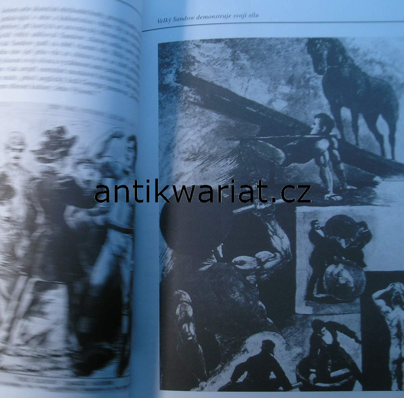 1wa Image00055