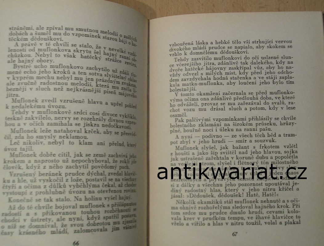 1wa Image00626