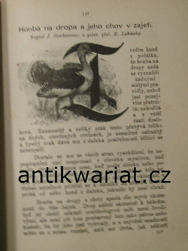 1wa Image00015