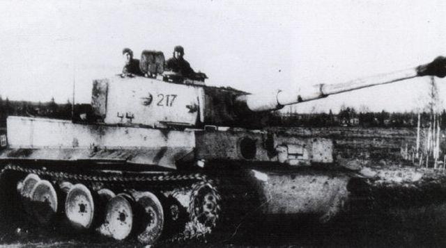 Tiger del schwere Panzer Abteilung 502. Aunque pocos en número, jugaron un papel importante para detener las ofensivas soviéticas sobre Leningrado en 1943
