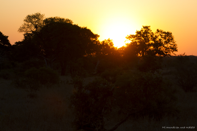 Kruger National Park: de Lower Sabie a Satara - SUDÁFRICA EN EL CORAZÓN (JULIO 2015) (30)