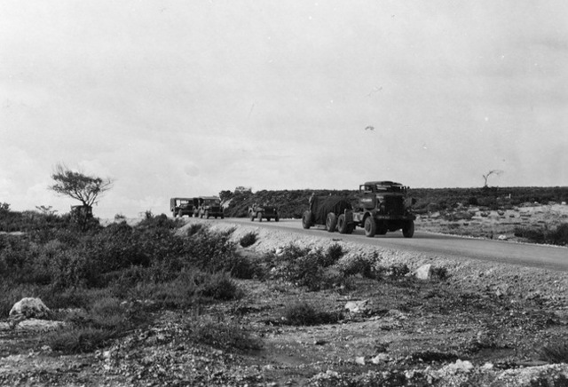 El personal transporta la bomba cubierta hacia el aeródromo