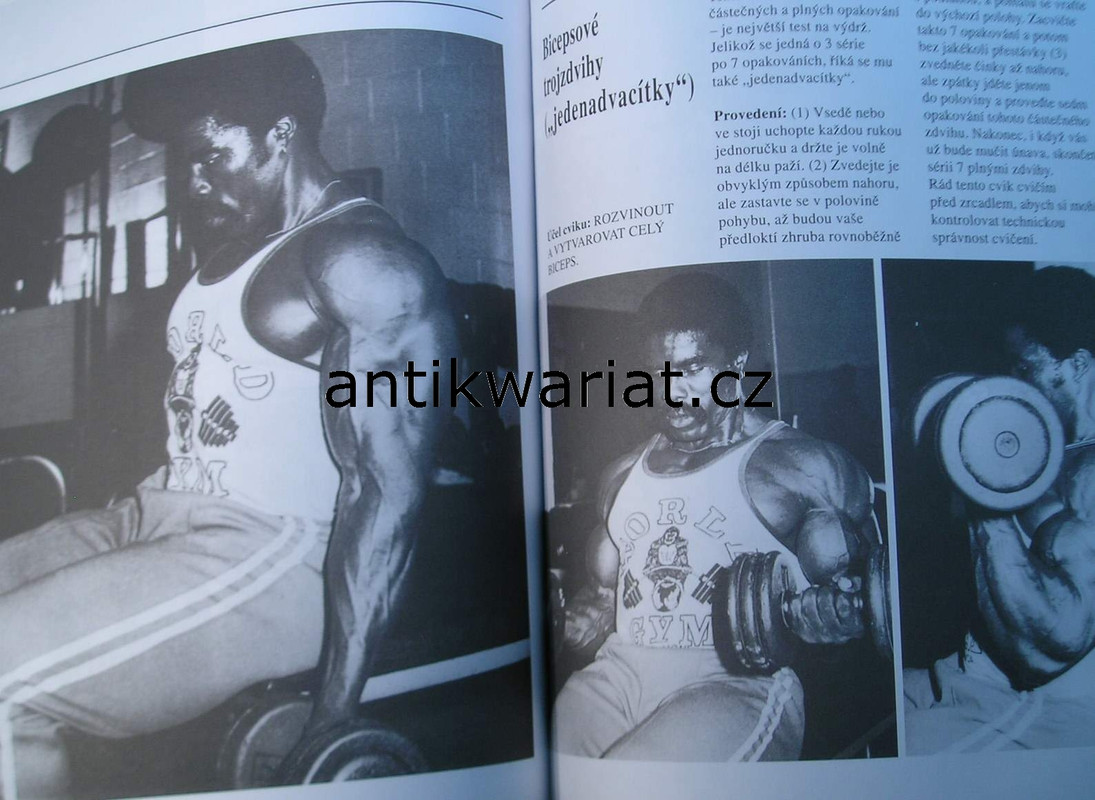 1wa Image00032