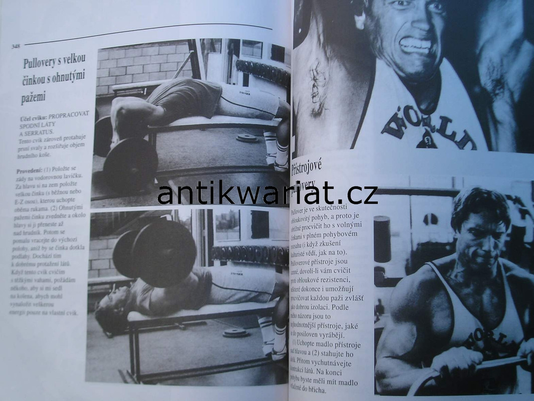1wa Image00034