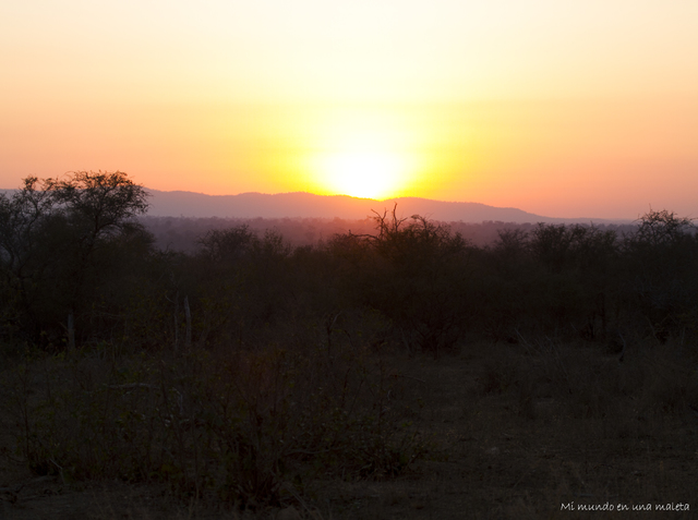 Kruger National Park: de Lower Sabie a Satara - SUDÁFRICA EN EL CORAZÓN (JULIO 2015) (8)