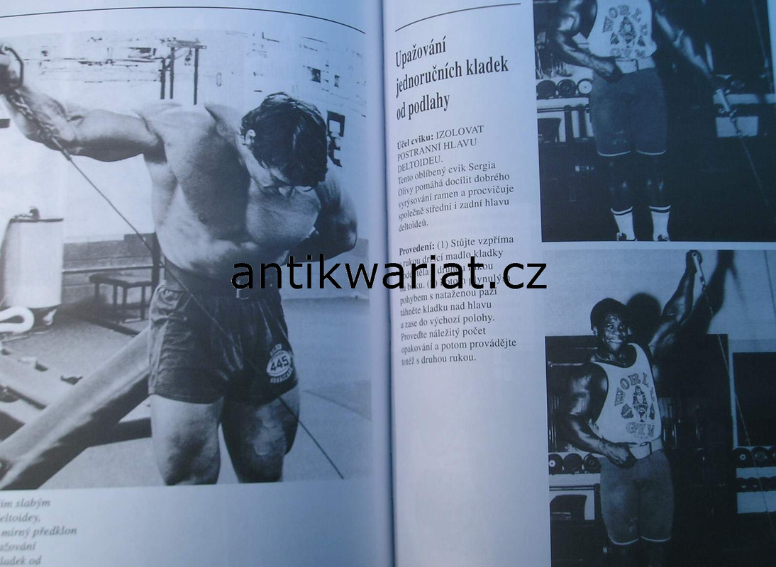 1wa Image00040