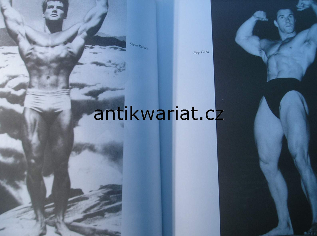 1wa Image00050