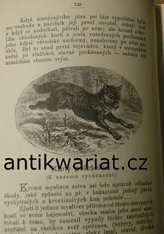 1wa Image00027