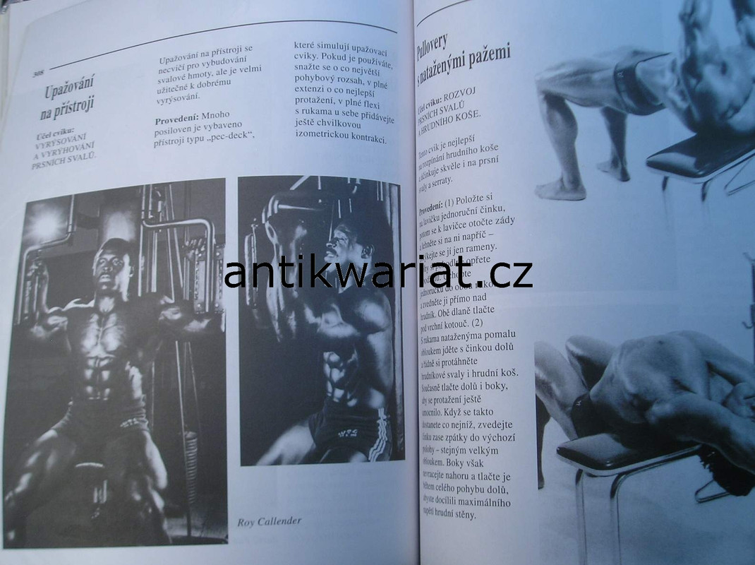 1wa Image00037