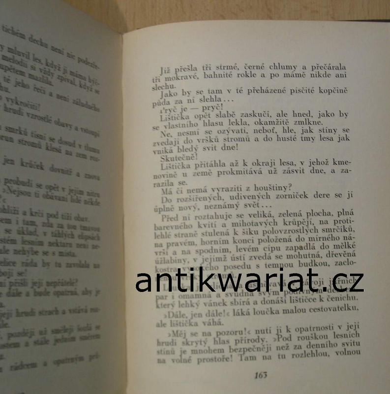 1wa Image00634