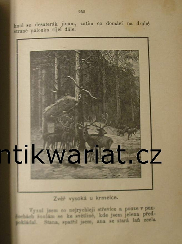 1wa Image00012