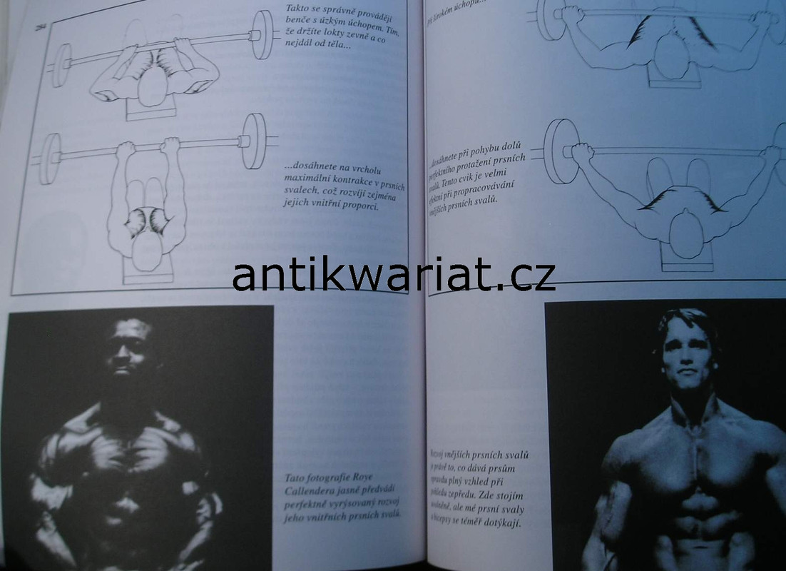 1wa Image00039