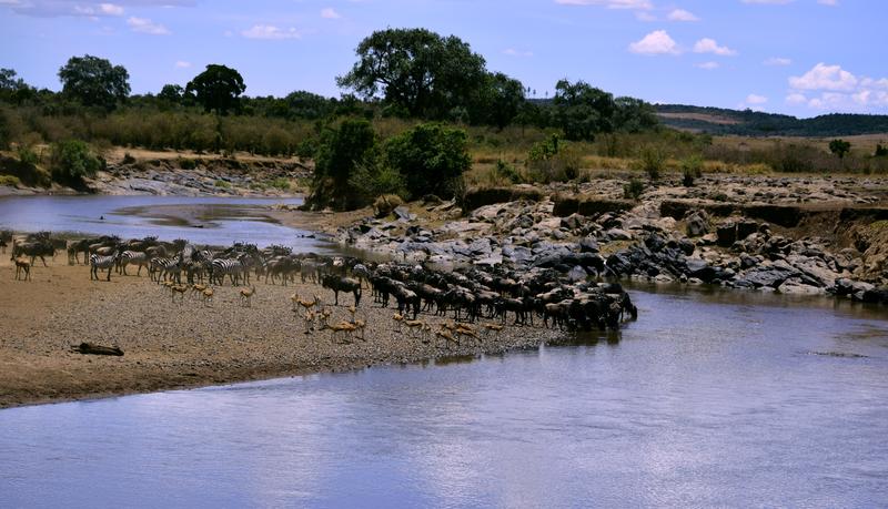 Mis días de safari en Uganda, Kenia y Zanzíbar.. Os lo intento contar - Blogs de Africa Este y Centro - Nuestra pequeña versión del cruce (10)