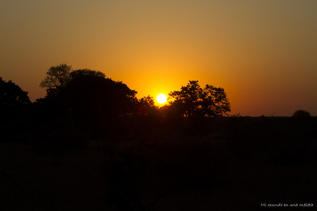 Kruger National Park: de Lower Sabie a Satara - SUDÁFRICA EN EL CORAZÓN (JULIO 2015) (31)