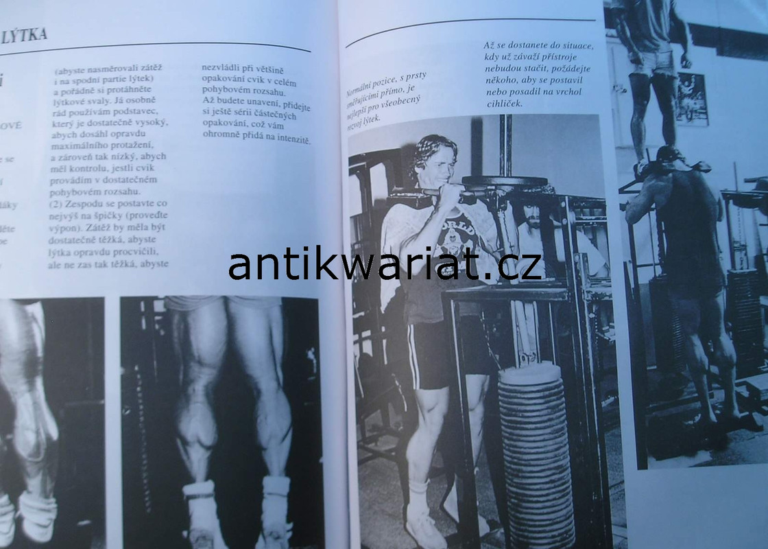 1wa Image00025