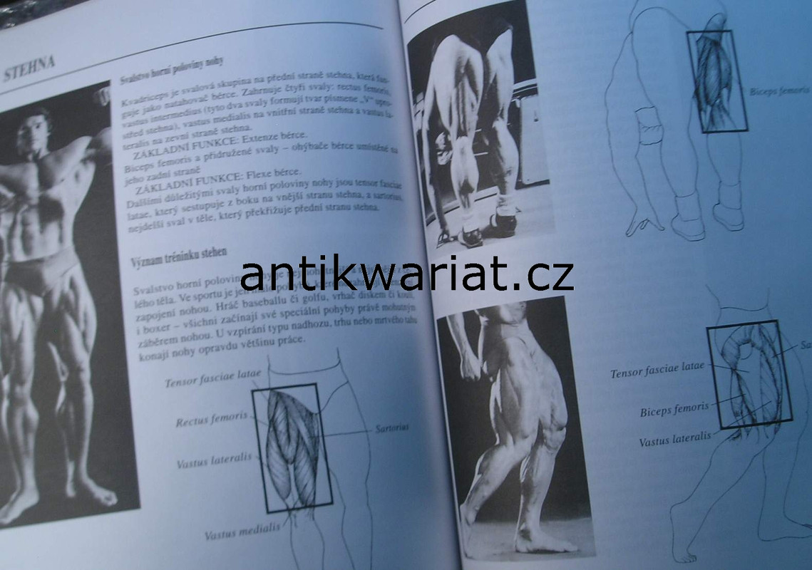 1wa Image00028