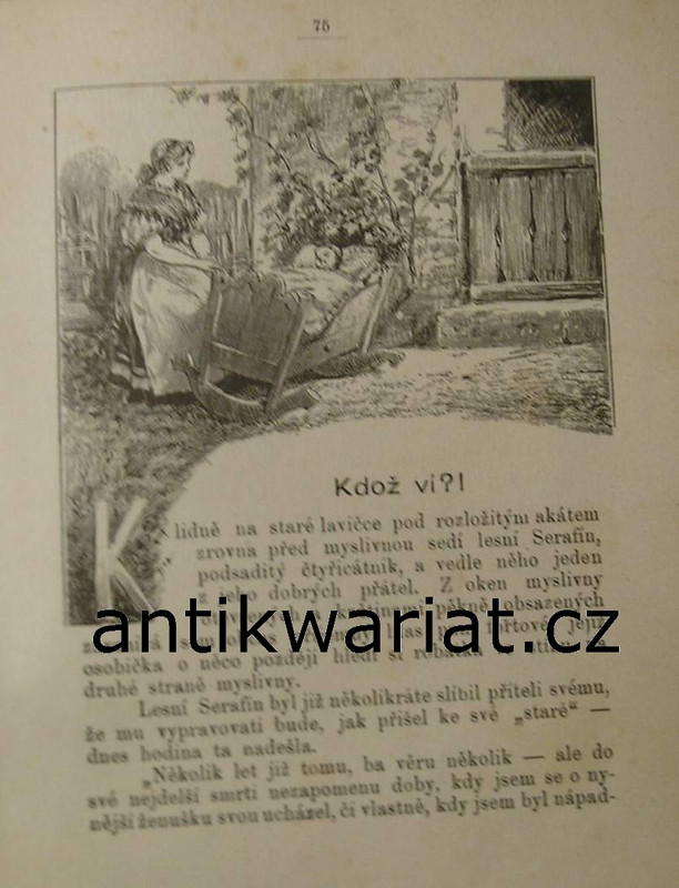 1wa Image00019