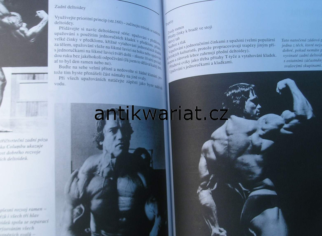 1wa Image00041