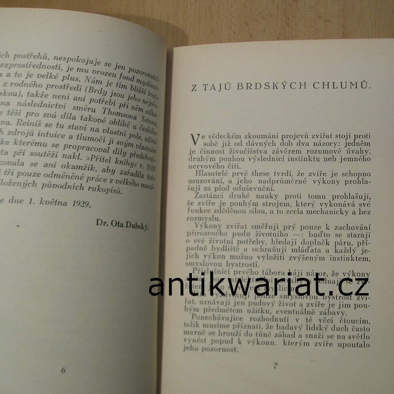 1wa Image00632
