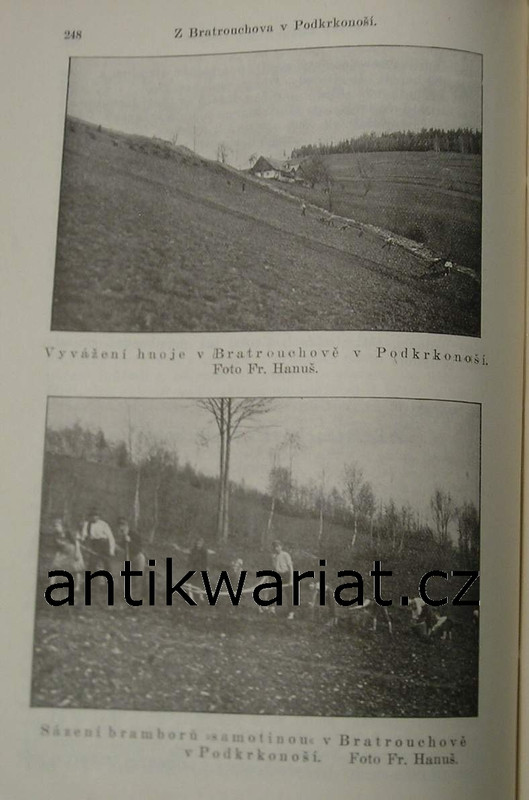 1wa Image00089