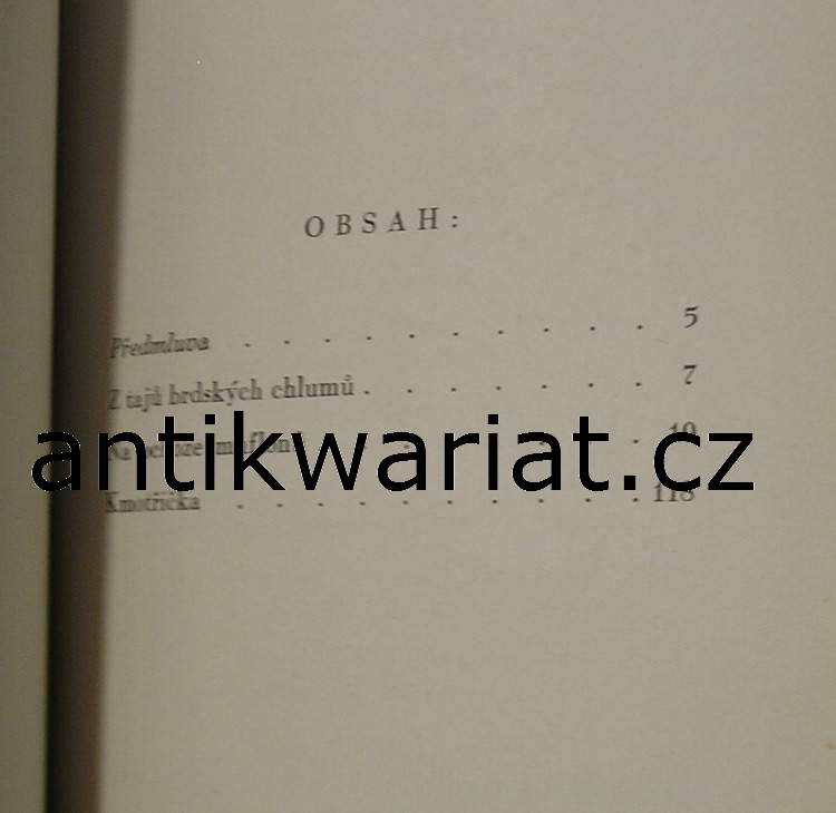 1wa Image00633