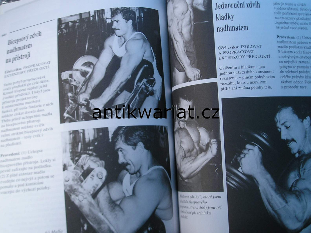 1wa Image00029