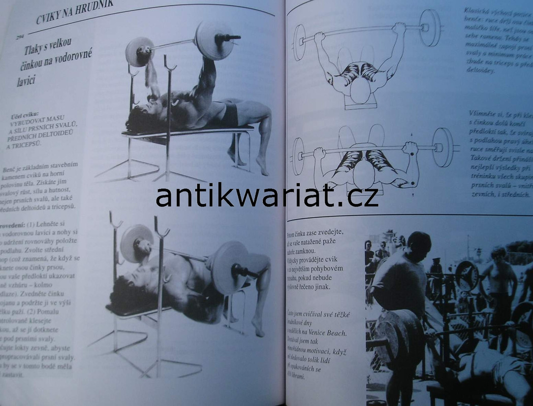 1wa Image00038
