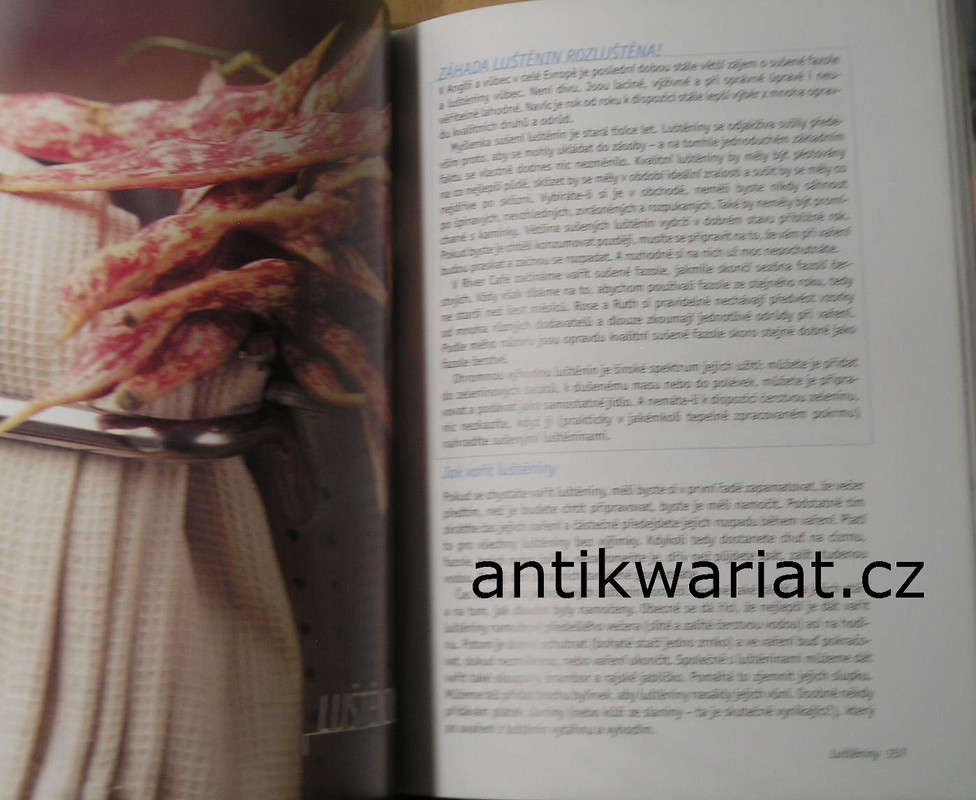 1wa Image00201