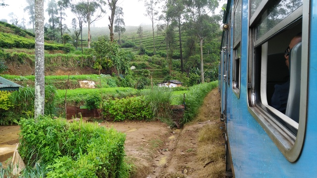 Tren de Kandy a Nuwara Eliya, con algún que otro incidente. - 12 días en Sri Lanka y Maldivas. De los campos de té a los baños con tiburones (4)
