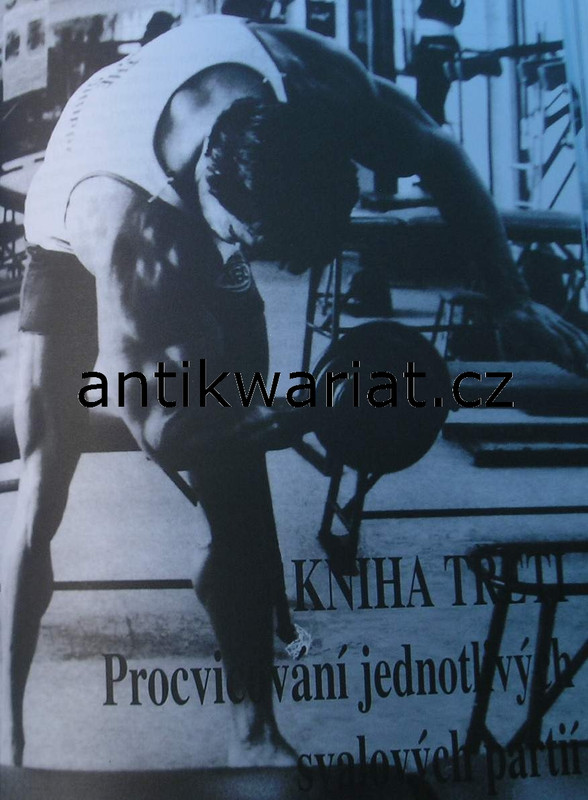 1wa Image00043