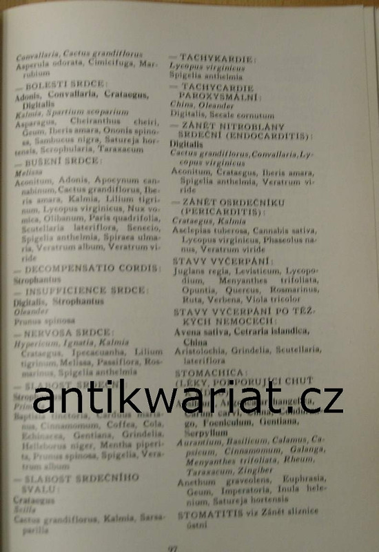 1wa Image00029