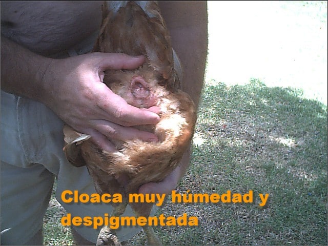 pone1.jpg