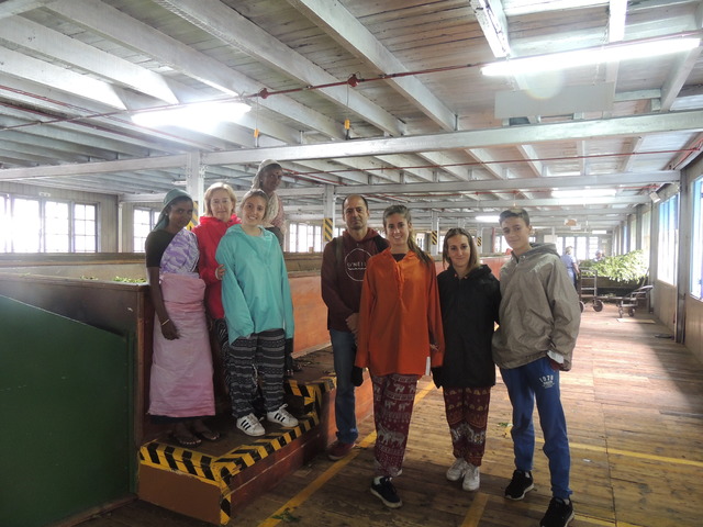 12 días en Sri Lanka y Maldivas. De los campos de té a los baños con tiburones - Blogs de Sri Lanka - Visita a la fábrica de té y tarde en Negombo (1)