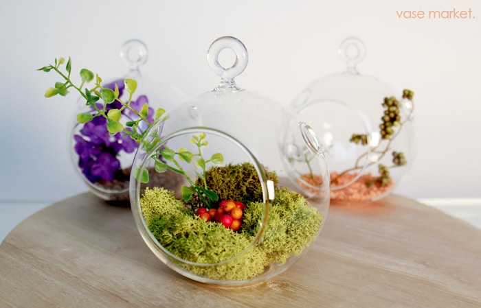 Try out our globular terrarium designs