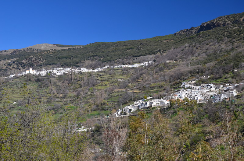 PAMPANEIRA-10-3-2017-GRANADA - Los pueblos más bonitos de España-2010/2023 (6)