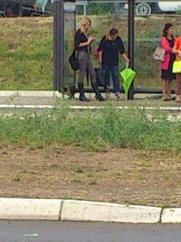 Slika