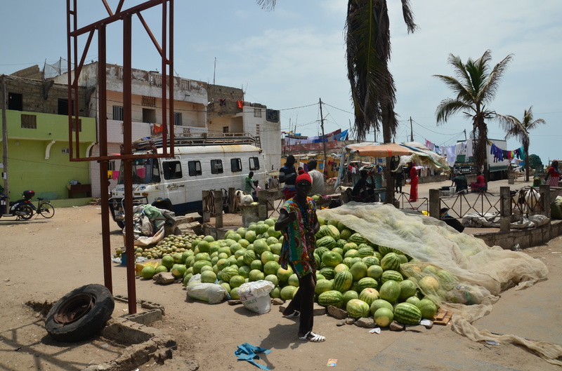 Senegal y sus pueblos-2016 - Blogs de Senegal - SAINT LOUIS-5-8-2016-SENEGAL (24)