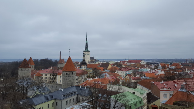 Un cuento de invierno: 10 días en Helsinki, Tallín y Laponia, marzo 2017 - Blogs of Finland - Tallin, pequeña joya medieval (17)