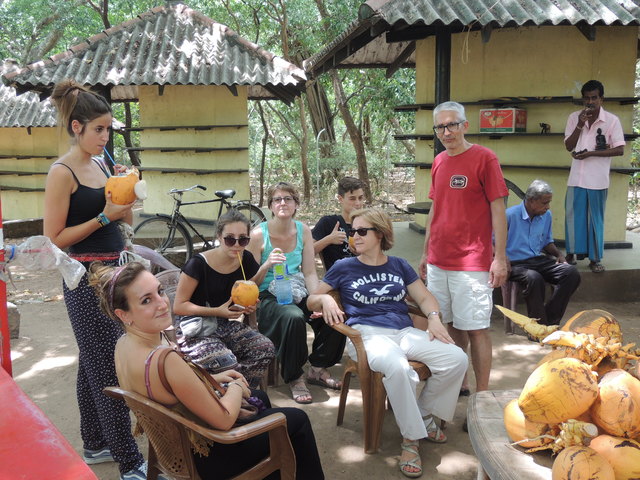 Polonnaruwa y Safari en Minneriya: uno de los mejores días del viaje - 12 días en Sri Lanka y Maldivas. De los campos de té a los baños con tiburones (6)