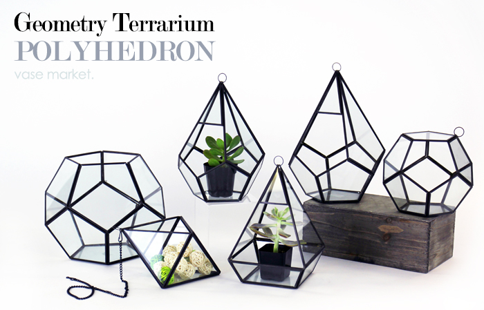 Geometric Terrarium