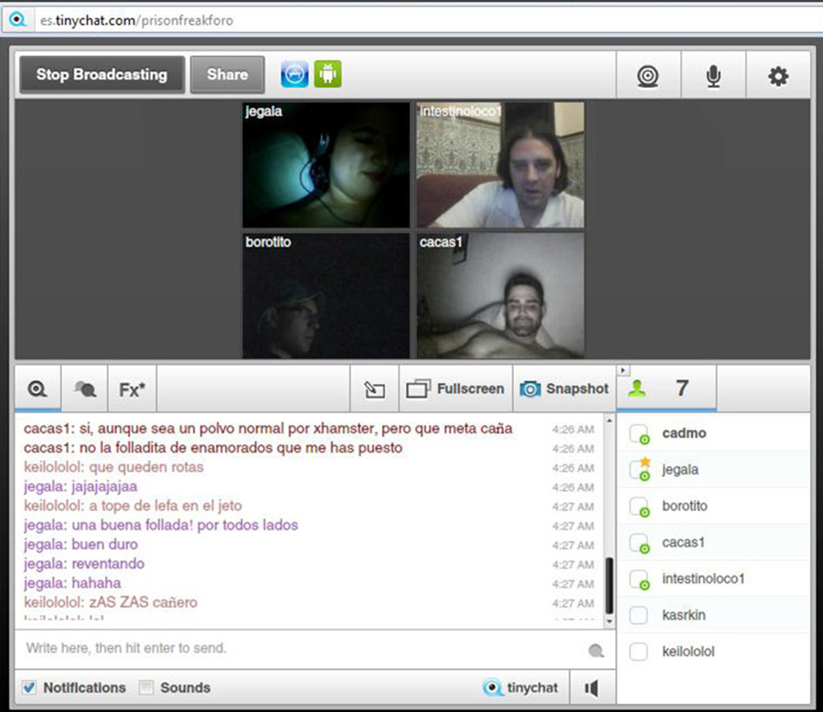 tinychat_pf_12_05_2012_d.jpg