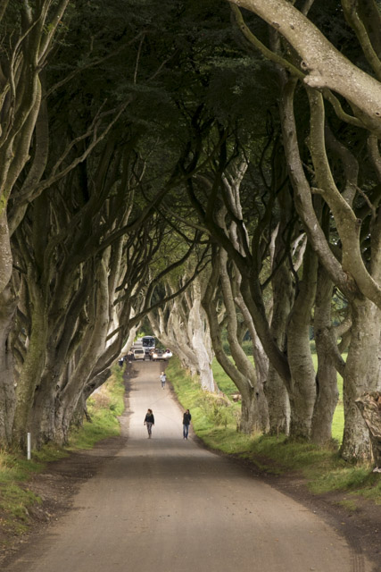 Dia 3. Giant’s Causeway, Ballintoy Harbour, Carrick a redge rope, Dark Hedges... - Roadtrip de 12 dias por el norte de Irlanda (7)