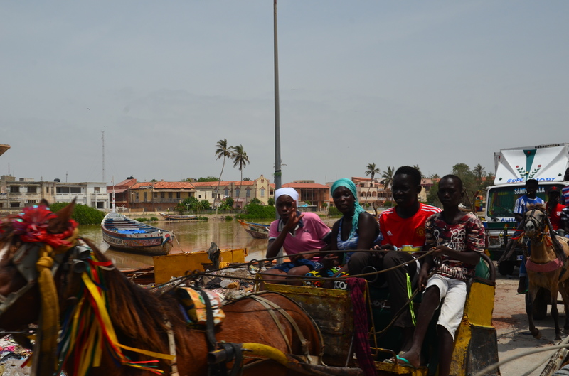 Senegal y sus pueblos-2016 - Blogs de Senegal - SAINT LOUIS-5-8-2016-SENEGAL (23)