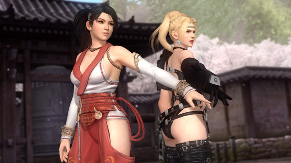 dead or alive 5 torrent