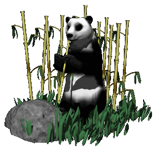 panda025